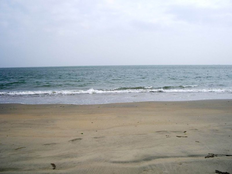 IMGP0031.JPG
