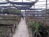 IMG_20120726_135017.JPG