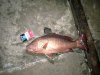 201211172495.jpg