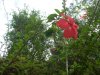 DSCN0034.JPG