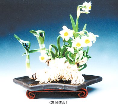 花05.jpg