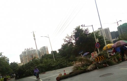 IMG_20170422_204841.jpg IMG_20170422_204841.jpg