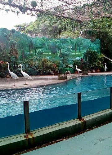 IMG_20170527_110227.jpg