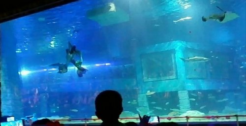 IMG_20170601_002039.jpg