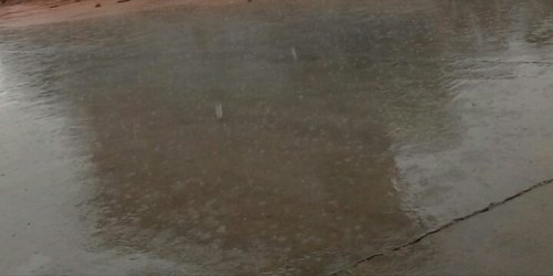IMG_20170706_112726.jpg