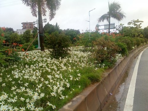 IMG_20170829_110803.jpg