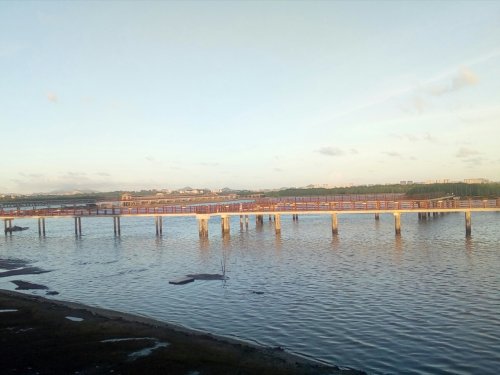 IMG_20170925_193235.jpg IMG_20170925_193235.jpg