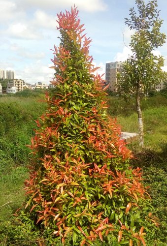 IMG_20170926_113455.jpg