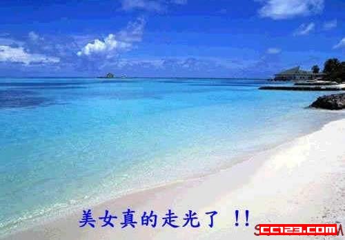 2004217224324734.jpg