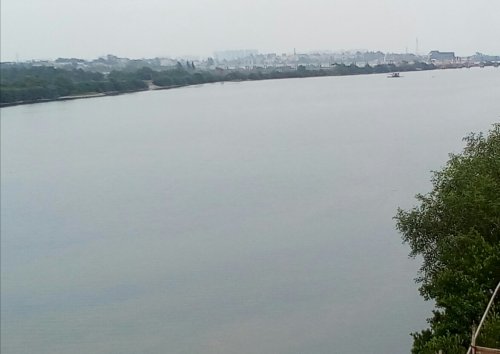 IMG_20100102_153939.jpg IMG_20100102_153939.jpg