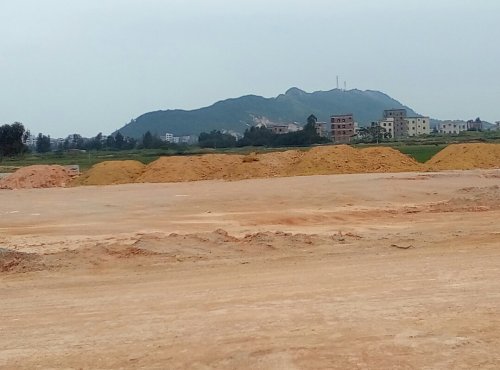 IMG_20100102_155010.jpg IMG_20100102_155010.jpg