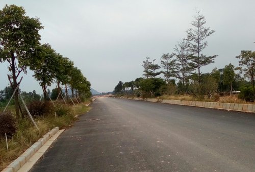 IMG_20100102_155144.jpg IMG_20100102_155144.jpg