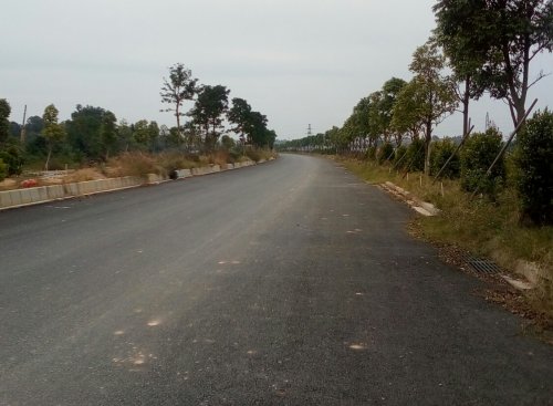 IMG_20100102_155206.jpg IMG_20100102_155206.jpg