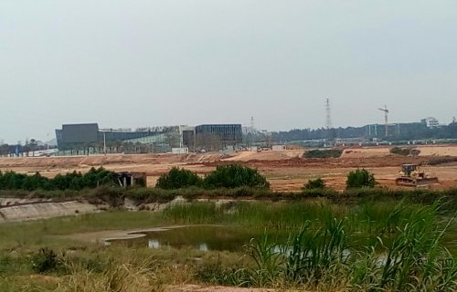 IMG_20100102_155224.jpg IMG_20100102_155224.jpg