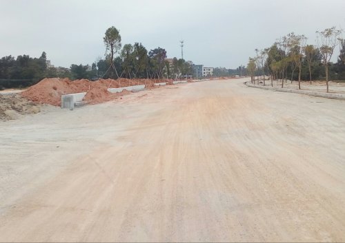 IMG_20100102_160427.jpg IMG_20100102_160427.jpg