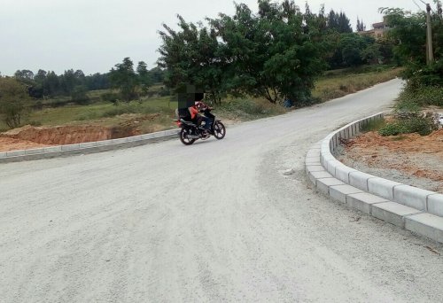 IMG_20100102_160746.jpg IMG_20100102_160746.jpg