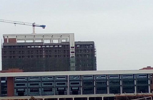 IMG_20100102_160937.jpg IMG_20100102_160937.jpg