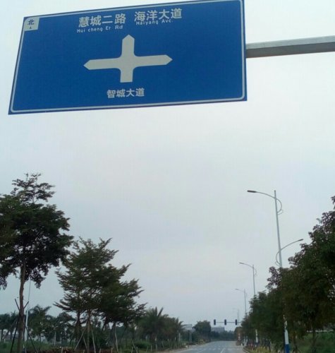 IMG_20100102_163153.jpg IMG_20100102_163153.jpg