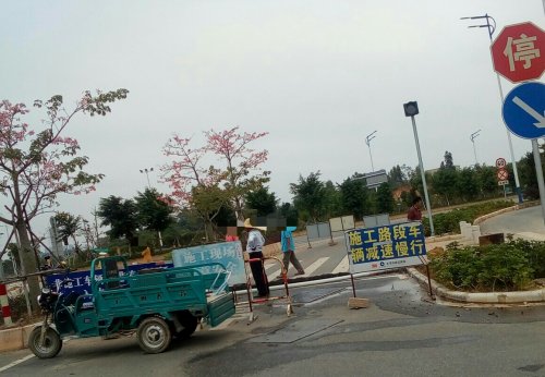 IMG_20100102_163348.jpg IMG_20100102_163348.jpg