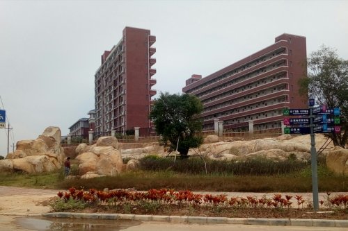 IMG_20100102_163407.jpg IMG_20100102_163407.jpg