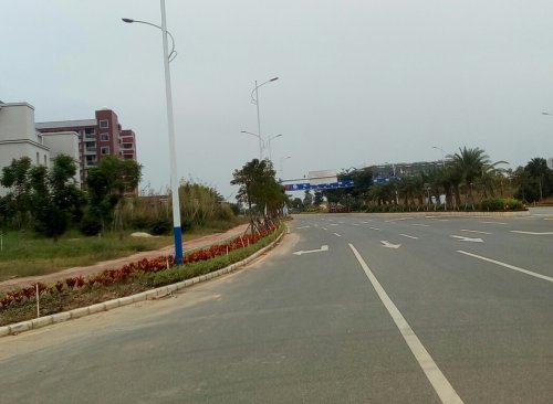 IMG_20100102_163426.jpg IMG_20100102_163426.jpg