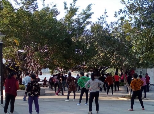 IMG_20171205_091828.jpg