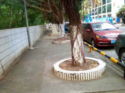 IMG_20171212_140551.jpg IMG_20171212_140551.jpg