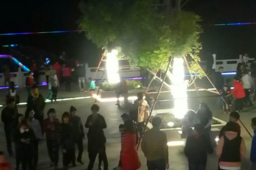 IMG_20100113_222921.jpg IMG_20100113_222921.jpg