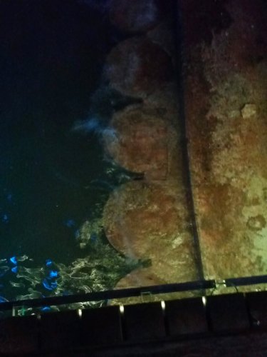 IMG_20100113_231942.jpg IMG_20100113_231942.jpg