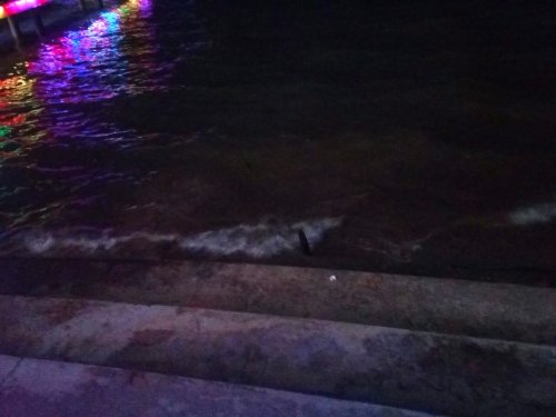 IMG_20100113_232146.jpg IMG_20100113_232146.jpg