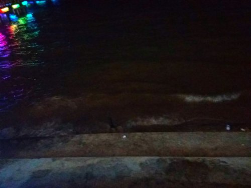 IMG_20100113_232236.jpg IMG_20100113_232236.jpg