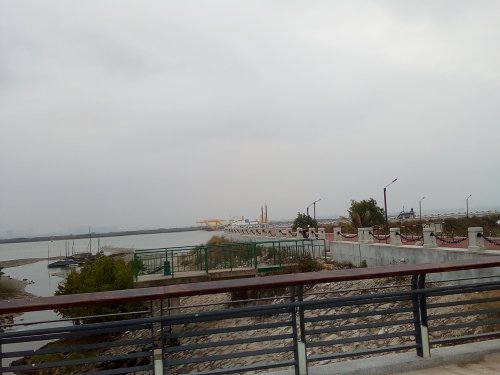 IMG_20100102_050556.jpg