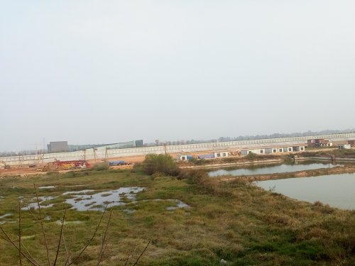 IMG_20100109_044933.jpg