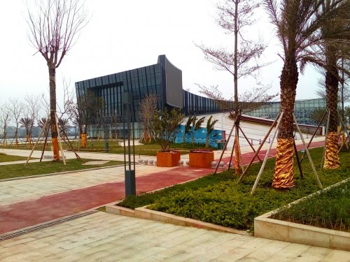 IMG_20100103_001707.jpg