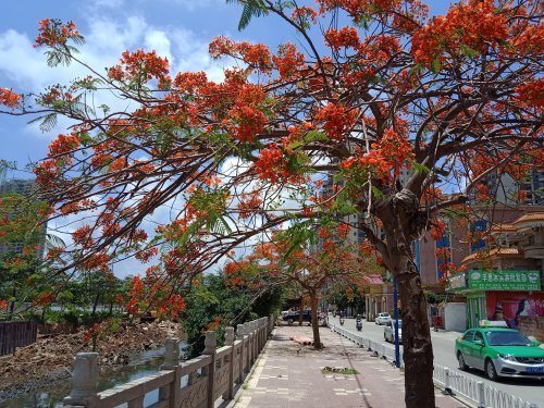 IMG20180514121119.jpg