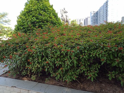 IMG20180523082111.jpg