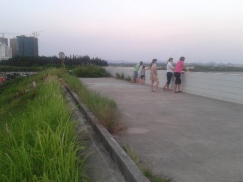 2015-08-06 19.14.32.jpg