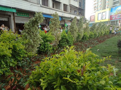 IMG20180531082559.jpg