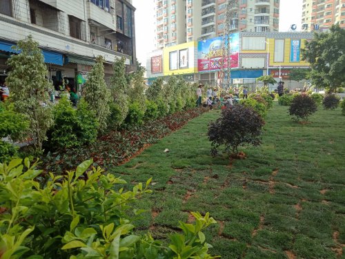 IMG20180531082555.jpg