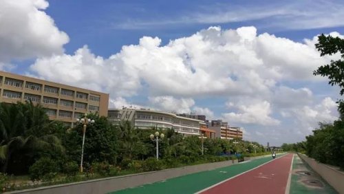 5.jpg 5.jpg