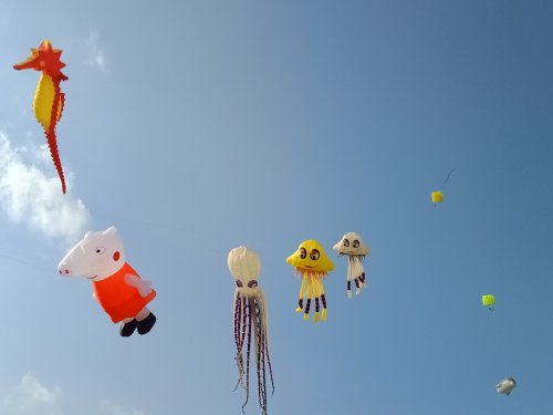 IMG20180609173854.jpg