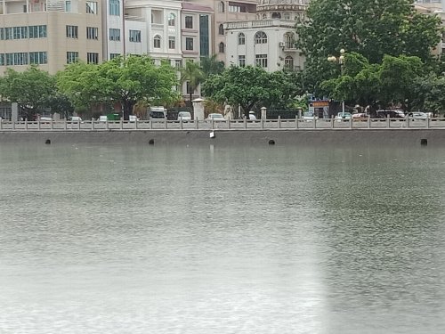 IMG20180714130135.jpg