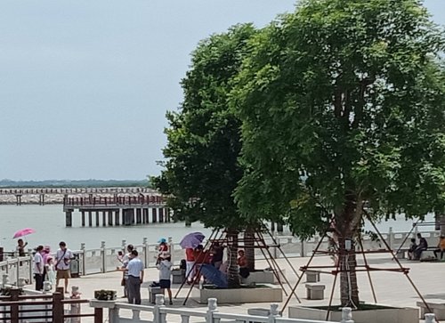IMG_20180820_130025.jpg