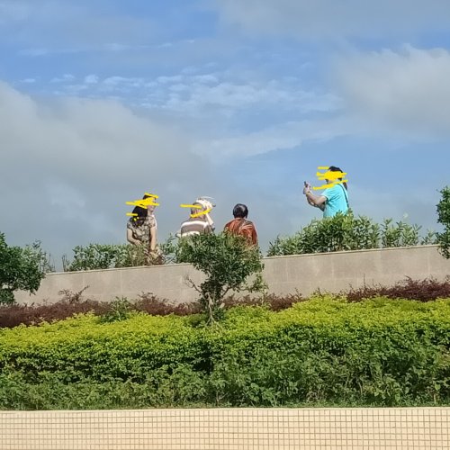 IMG_20180920_114420.jpg IMG_20180920_114420.jpg