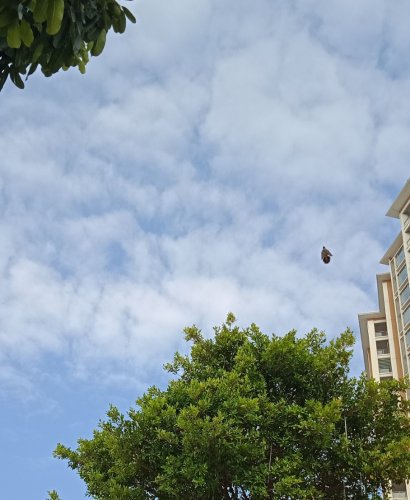 IMG_20180927_083930.jpg