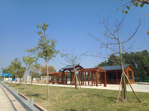 IMG20181026105354.jpg