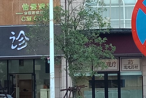 IMG_20181029_090756.jpg