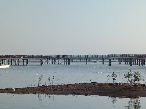 IMG20181123081940.jpg