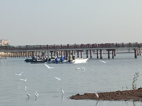 IMG_20181128_224929.jpg