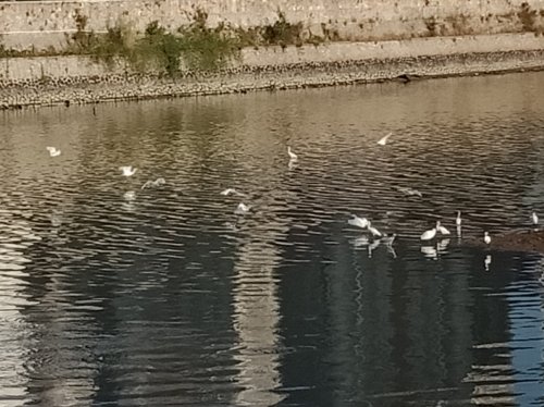 IMG_20181128_225235.jpg